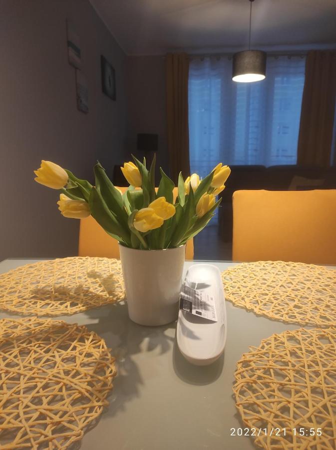 グダニスクPrzytulny Apartament, 2 Pokoje Nad Morzemアパートメント エクステリア 写真