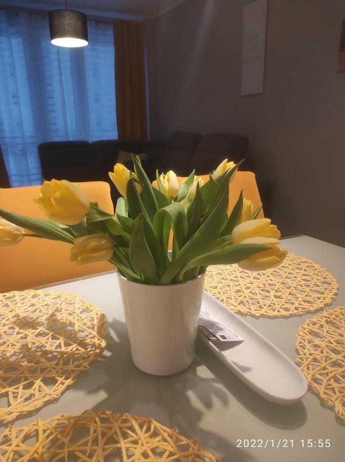 グダニスクPrzytulny Apartament, 2 Pokoje Nad Morzemアパートメント エクステリア 写真